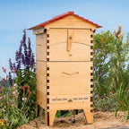 Flow Hive 2 Araucaria 6 ramar