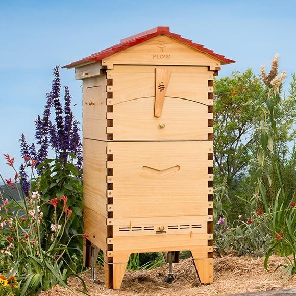 Flow Hive 2 Araucaria 6 ramar