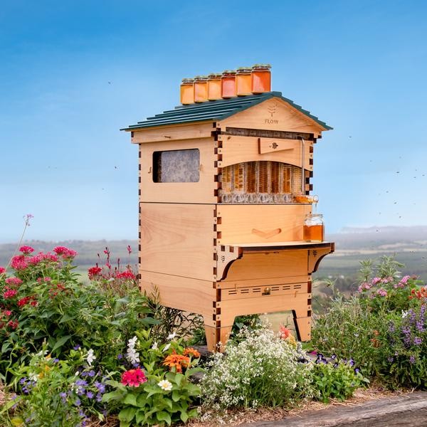 Flow Hive 2 Araucaria 7 ramar