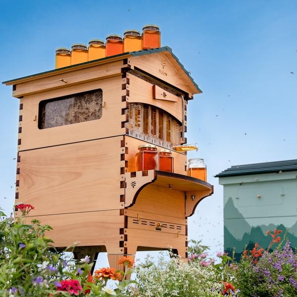 Flow Hive 2 Araucaria 7 ramar med benstativ