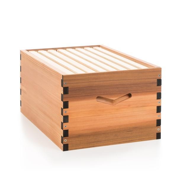 Flow Hive 2+ Yngelrum Cedar 10 ramar