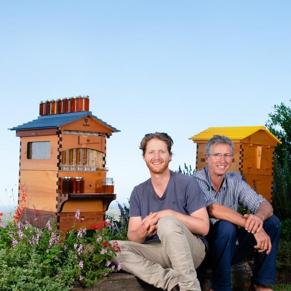 Flow Hive 2+ Cedar 6 ramar