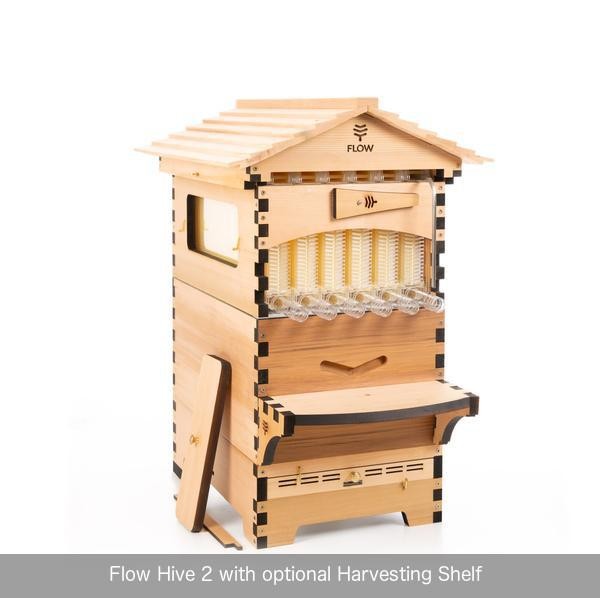 Flow Hive 2+ Cedar 6 ramar