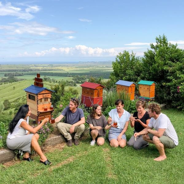 Flow Hive 2+ Cedar 6 ramar med benstativ