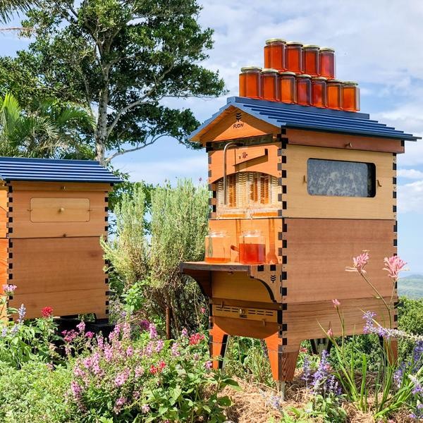 Flow Hive 2+ Cedar 6 ramar med benstativ