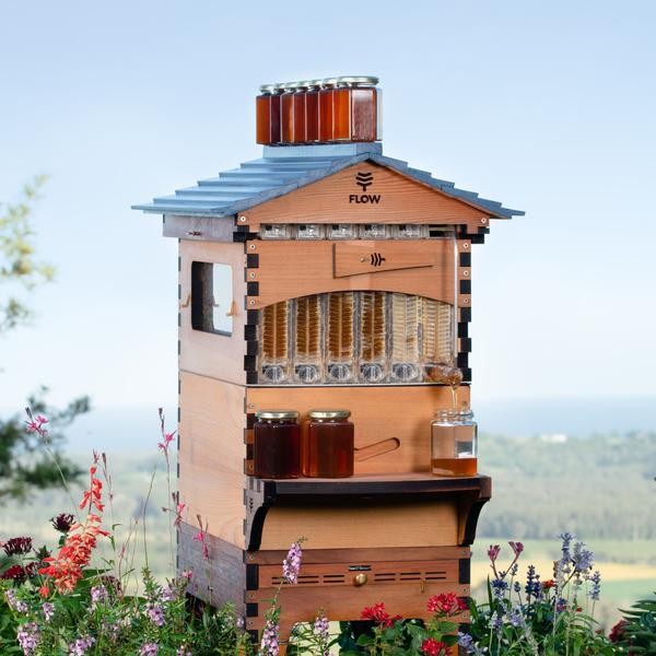 Flow Hive 2+ Cedar 6 ramar med benstativ