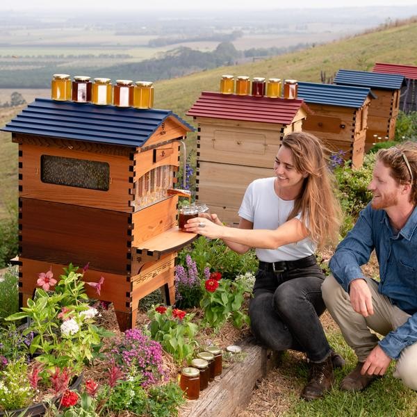 Flow Hive 2+ Cedar 7 ramar