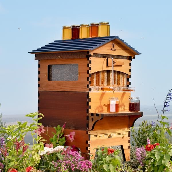Flow Hive 2+ Cedar 7 ramar