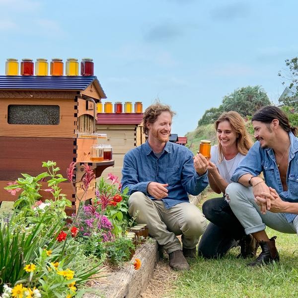 Flow Hive 2+ Cedar 7 ramar med benstativ