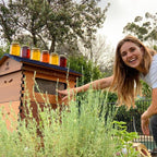 Flow Hive 2+ Cedar 7 ramar med benstativ