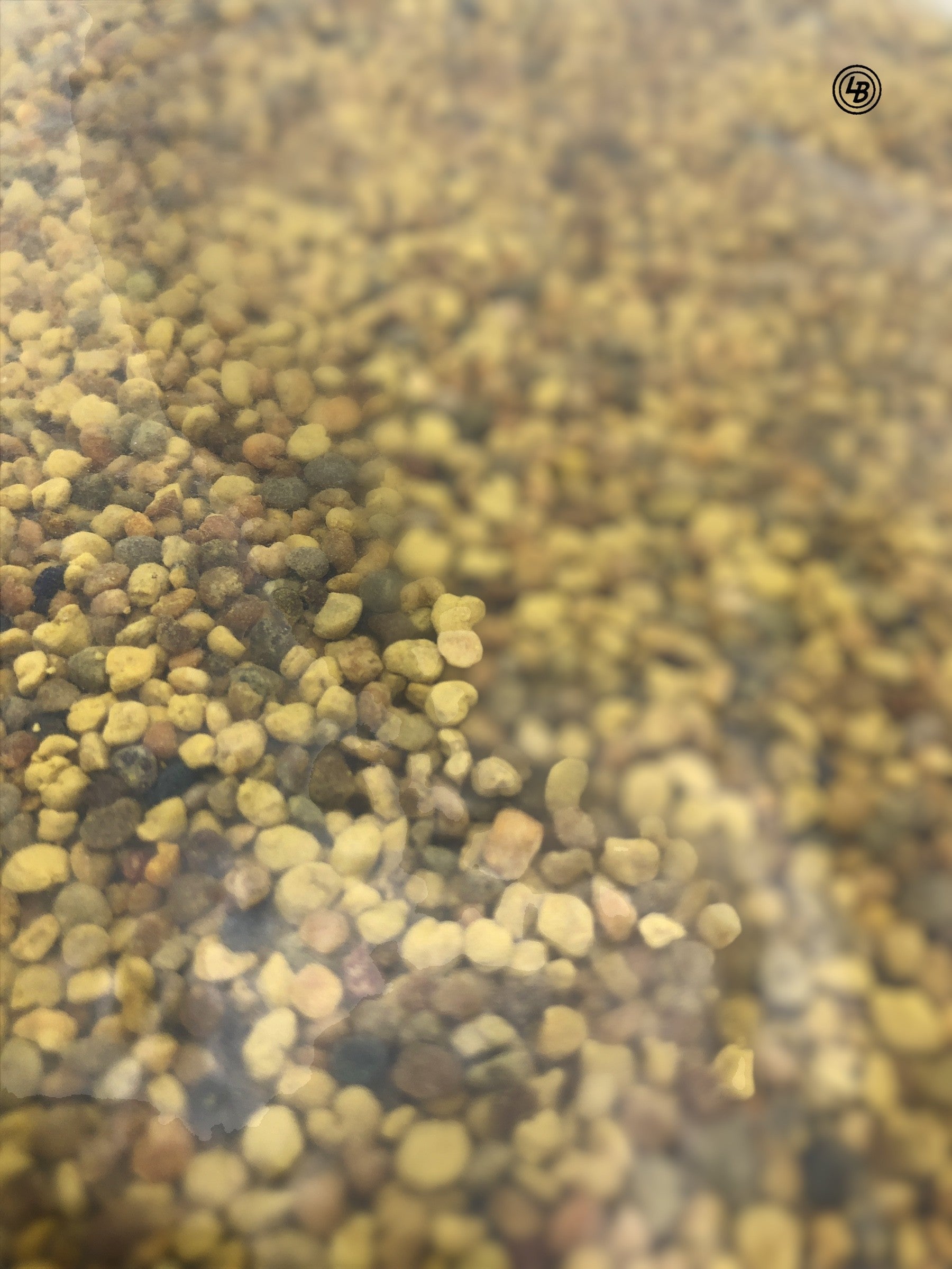 Blomsterpollen, 1 kg