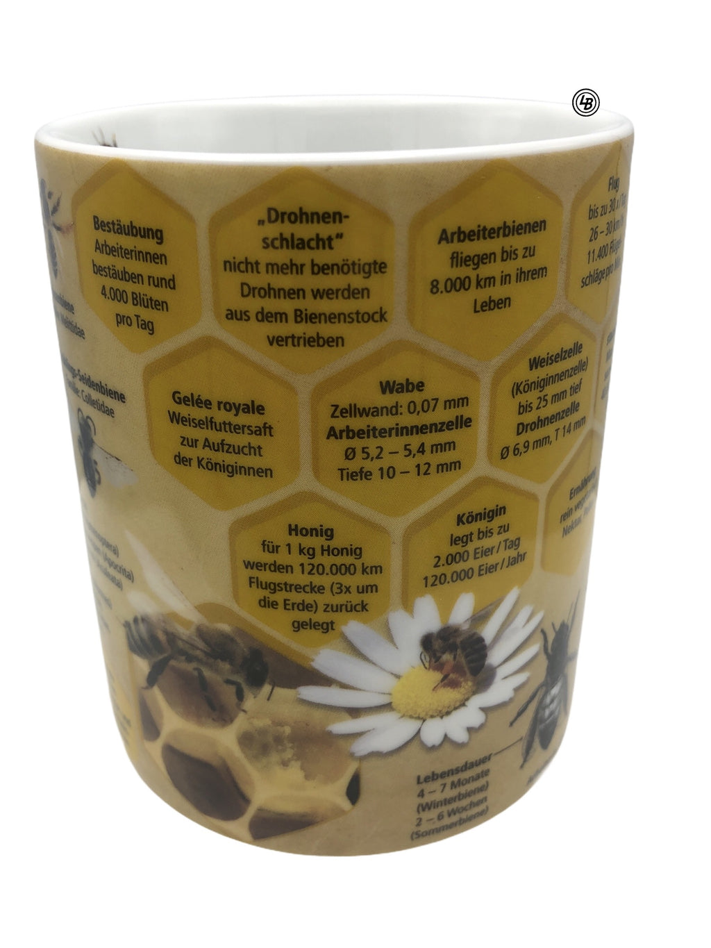 Mugg med fakta om bin (Tysk text)