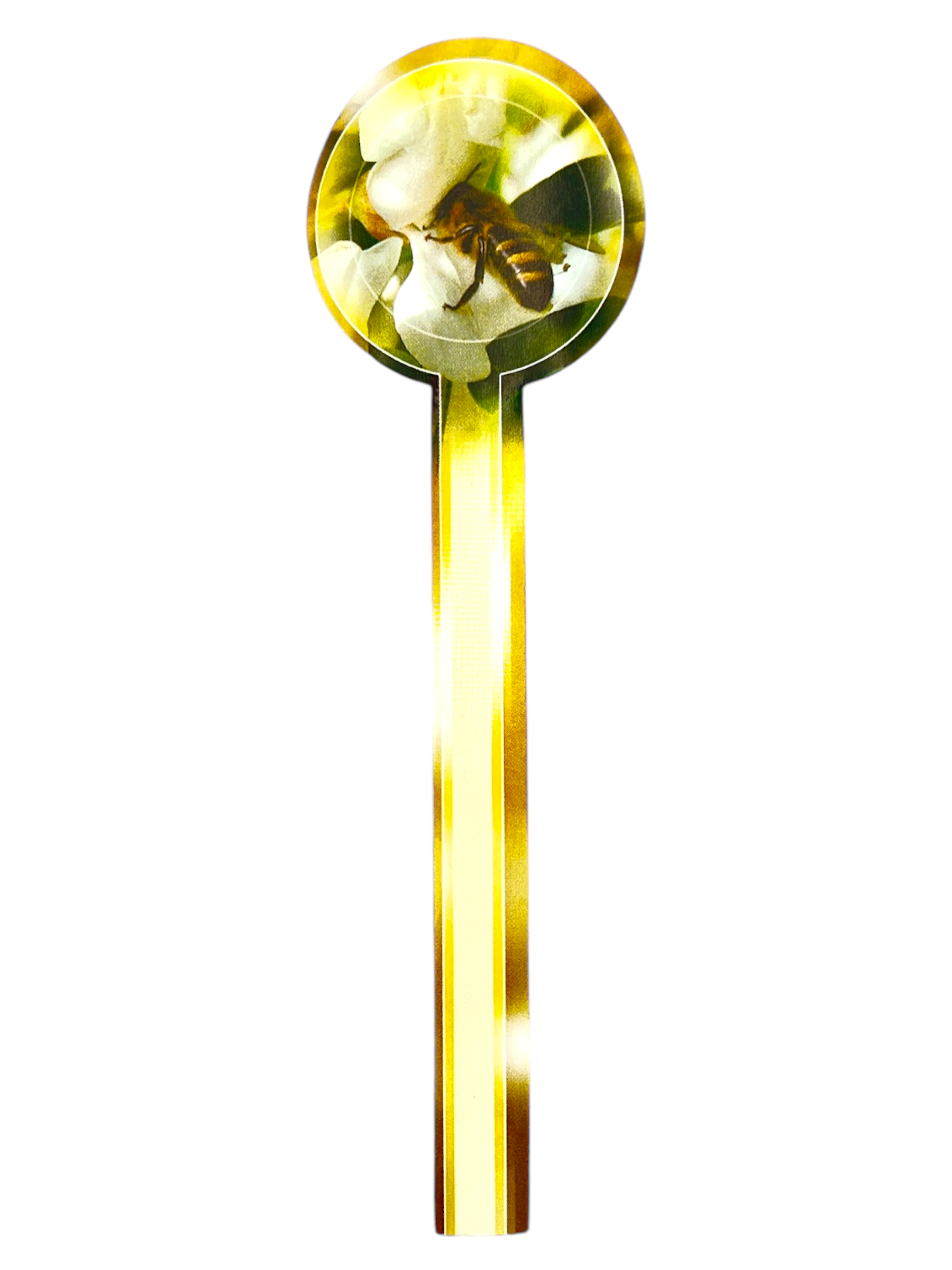Locksigill "Akacia", 100 st