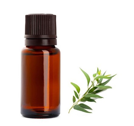 Eukalyptusdoft för tvål & ljus 10ml