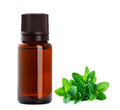 Mintdoft för tvål & ljus 10ml