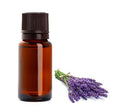 Eterisk olja, lavendel 10ml