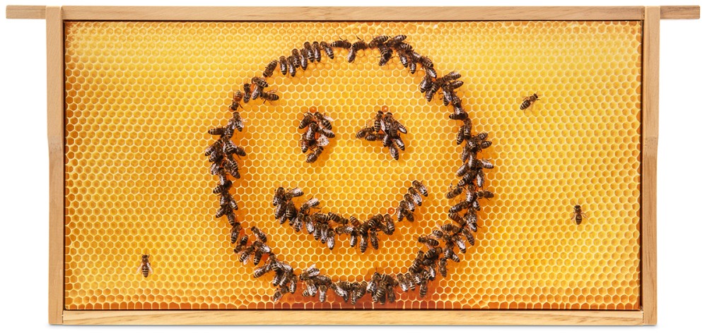 Tavla "Smiley"