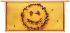 Tavla "Smiley"